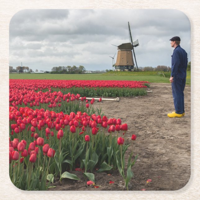 Farmer inspecting his tulips and windmill square paper coaster (Front)