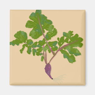 Farmer Radish Turnips Plants Gardening Magnet