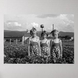 Farmer's Daughters, 1939 Poster