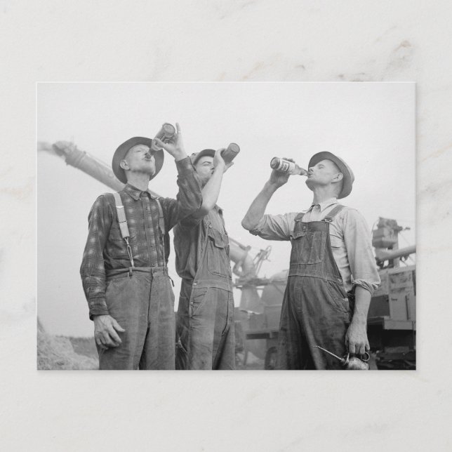 Farmers Drinking Beer, 1941 Postcard (Front)