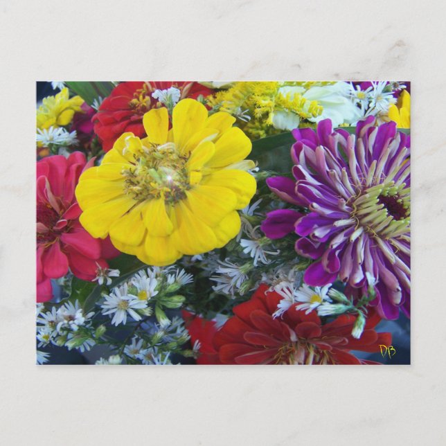 Farmers Market Postcards (Front)