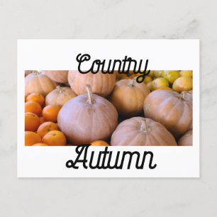 Farmer's Market Pumpkins Country Autumn Postcard