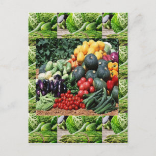 Farmers market veggie delight chefs cuisine ideas postcard