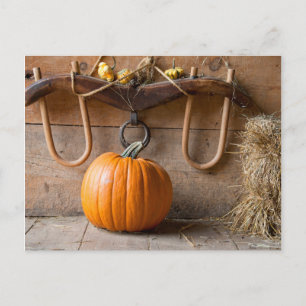 Farmers Museum. Pumpkin in barn with bale of hay Postcard