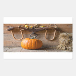 Farmers Museum. Pumpkin in barn with bale of hay Rectangular Sticker