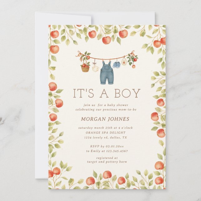 Farmhouse Baby Clothesline Baby Shower Invitation (Front)
