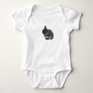 Farmhouse Bunny Baby Bodysuit
