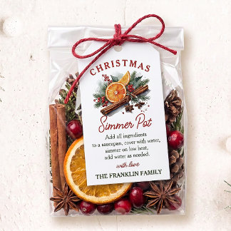 Farmhouse Christmas Winter Simmer Pot Gift Tags