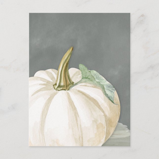 Farmhouse fall white pumpkin postcard (Front)