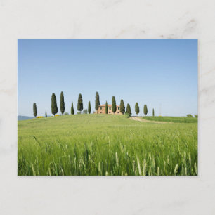 Farmhouse in Tuscany with cypresses postcard