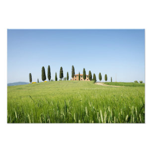 Farmhouse in Tuscany with cypresses print