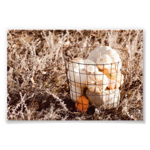 Farmhouse Pumpkin Harvest Basket Photo Print