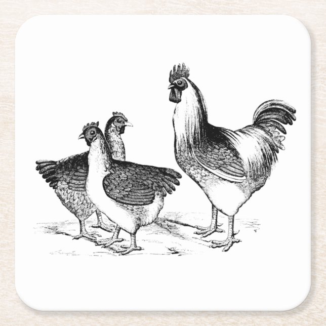 Farmhouse rustic chicken animals kitchen square paper coaster (Front)