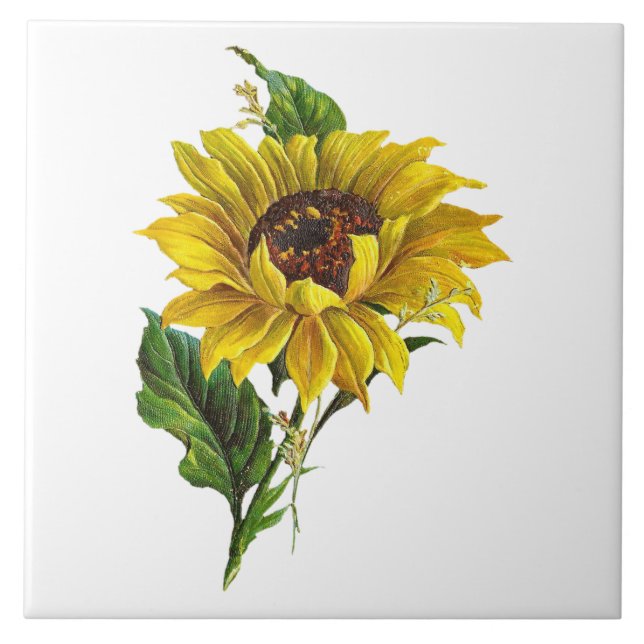 Farmhouse Sunflower Vintage Botanical Ceramic Tile (Front)