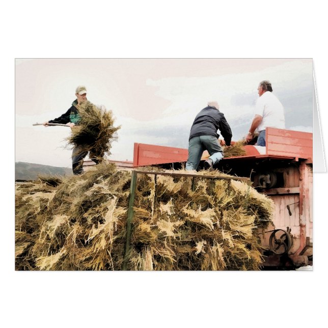 FARMING CARD (Front Horizontal)