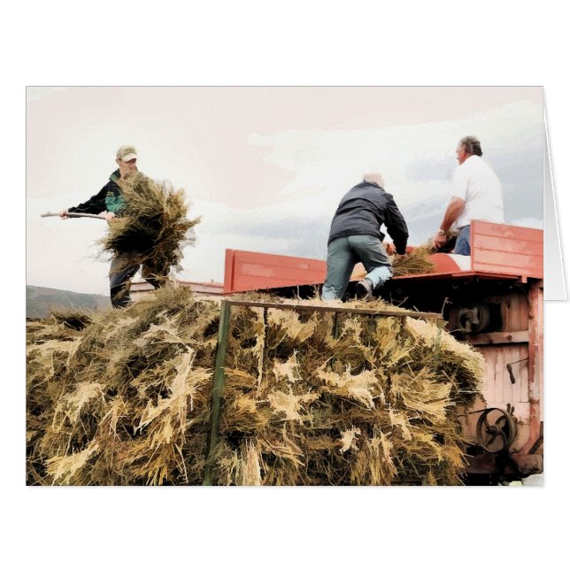 FARMING GREETINGS CARDS (Front Horizontal)