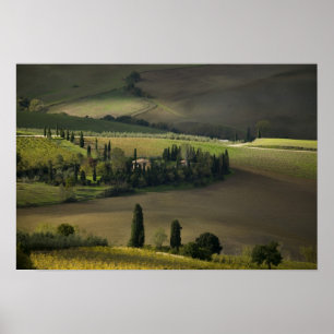 Farmland around Montepulciano, Tuscany, Italy Poster