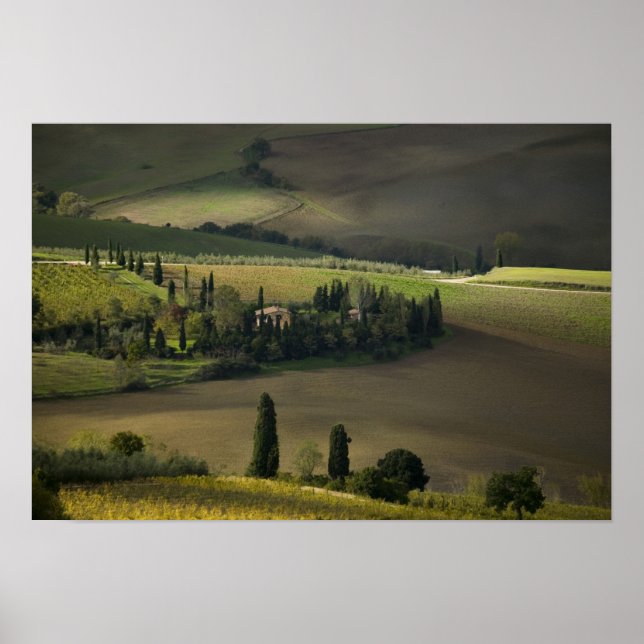 Farmland around Montepulciano, Tuscany, Italy Poster (Front)