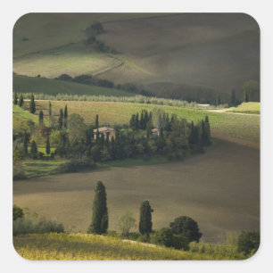 Farmland around Montepulciano, Tuscany, Italy Square Sticker