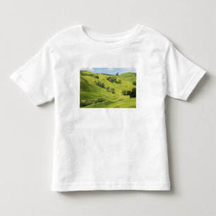 Farmland near Gisborne, New Zealand Toddler T-Shirt