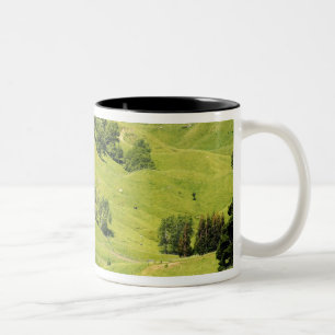 Farmland near Gisborne, New Zealand Two-Tone Coffee Mug