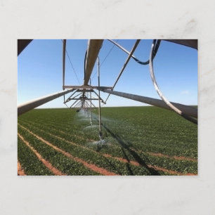 Farmland Postcard