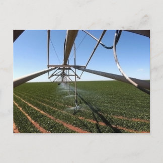 Farmland Postcard