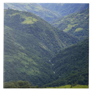Farmlands and Himalaya forest in Mangdue valley Ceramic Tile