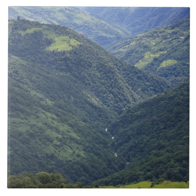 Farmlands and Himalaya forest in Mangdue valley Ceramic Tile (Front)