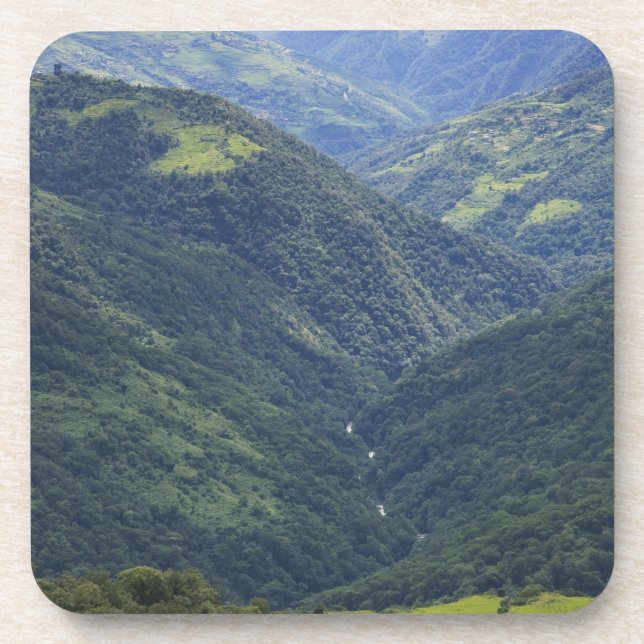 Farmlands and Himalaya forest in Mangdue valley Coaster (Front)