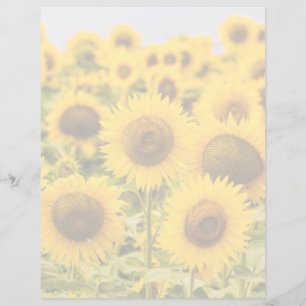 Farms A Sunflower Field