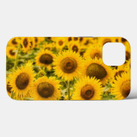 Farms | A Sunflower Field