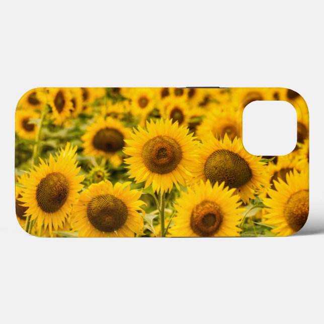 Farms | A Sunflower Field Case-Mate iPhone Case (Back (Horizontal))