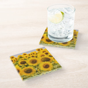 Farms A Sunflower Field Glass Coaster