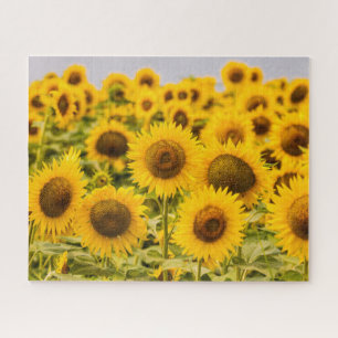 Farms   A Sunflower Field Jigsaw Puzzle