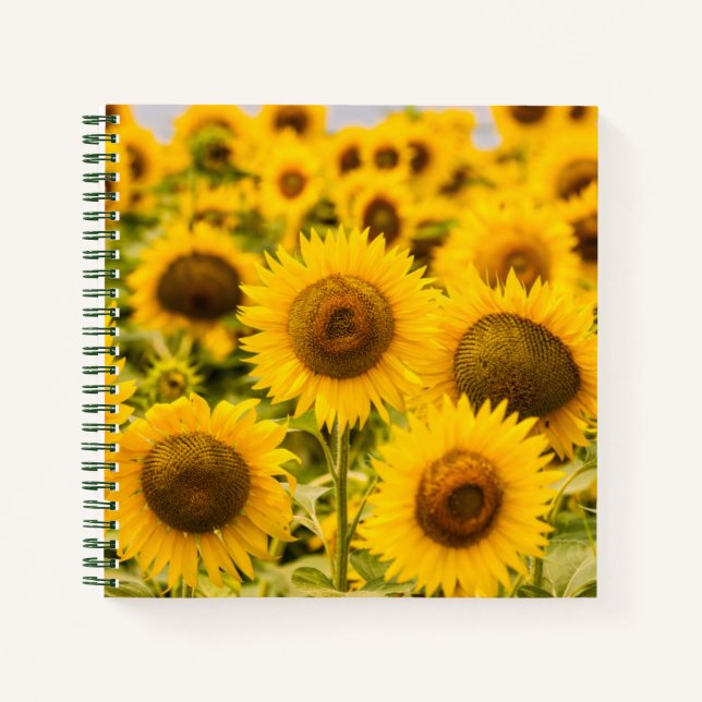 Farms | A Sunflower Field Notebook (Front)
