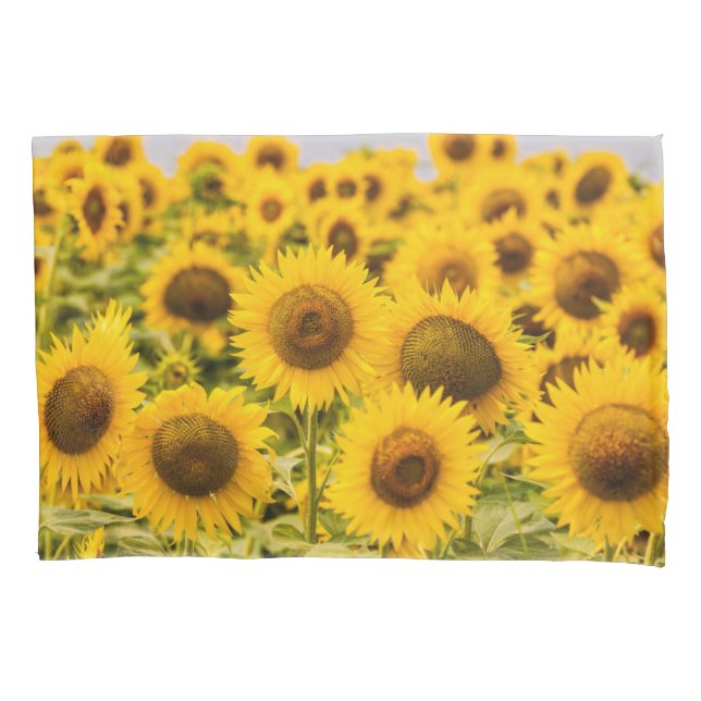 Farms | A Sunflower Field Pillowcase (Front)