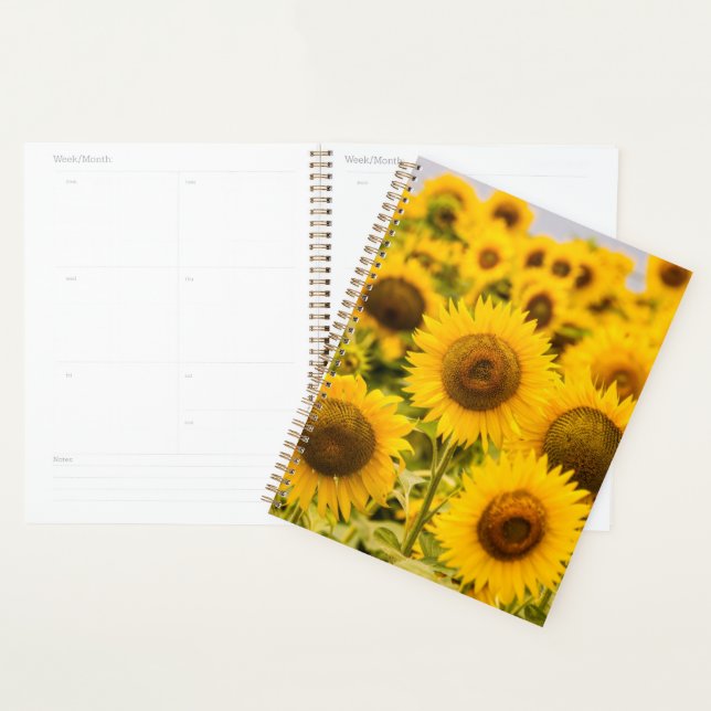 Farms | A Sunflower Field Planner (Display)