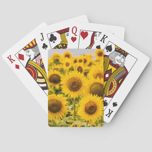 Farms | A Sunflower Field Playing Cards (Back)