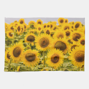 Farms A Sunflower Field Tea Towel