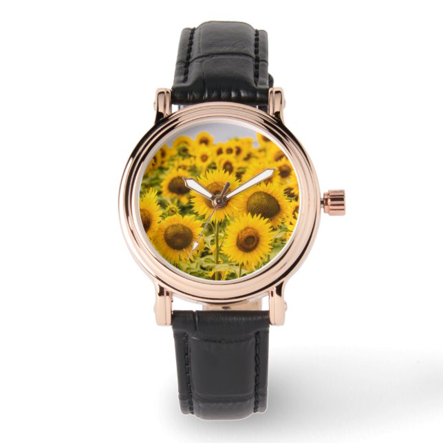 Farms | A Sunflower Field Watch (Front)