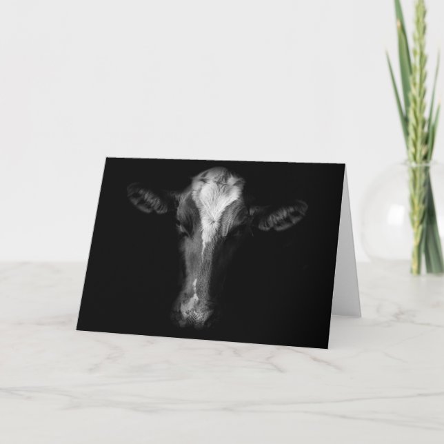 Farms | B&W Cow Head Shot Card (Front)