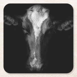 Farms   B&W Cow Head Shot Square Paper Coaster