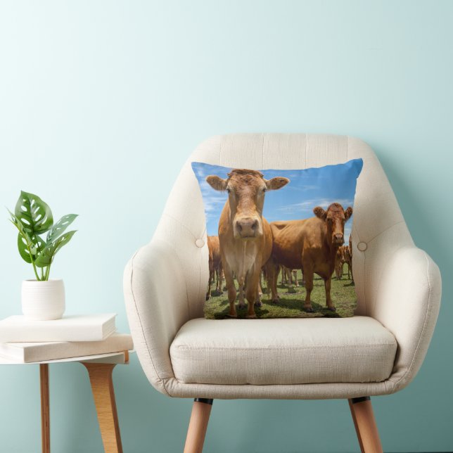 Farms | Brown Cow Group Cushion (Chair)