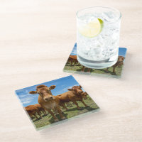 Farms | Brown Cow Group
