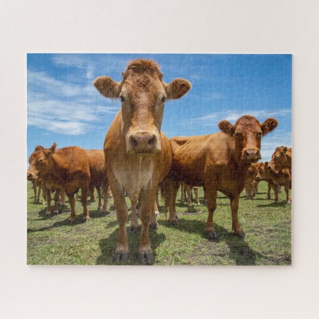 Farms | Brown Cow Group Jigsaw Puzzle (Horizontal)