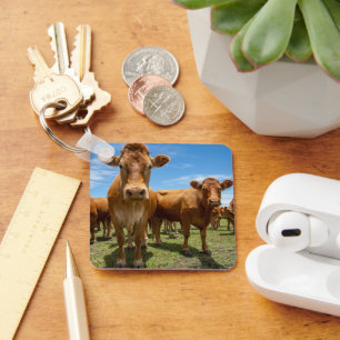 Farms   Brown Cow Group Key Ring