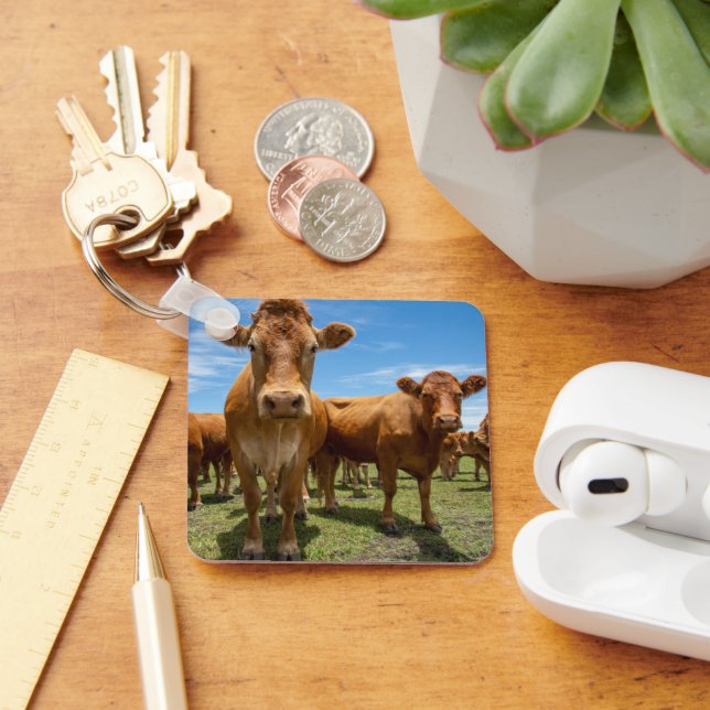 Farms | Brown Cow Group Key Ring (Desk)