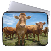 Farms | Brown Cow Group
