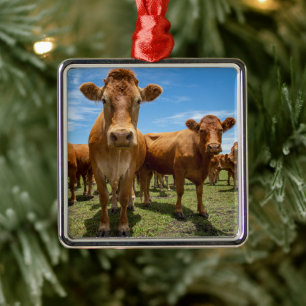 Farms Brown Cow Group Metal Ornament